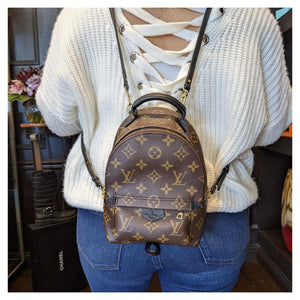 Mini Louis Vuitton Monogram Canvas Palm Springs Backpack