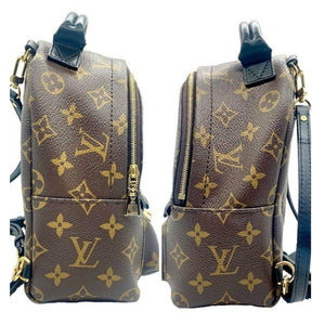 Louis Vuitton Palm Springs Monogram Canvas Mini Backpack Louis Vuitton Palm Springs Monogram Canvas Mini Backpack