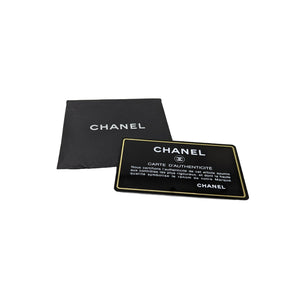 Chanel Vintage White Python CC Chain Hobo Bag