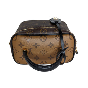 Louis Vuitton Vanity Bag 2020