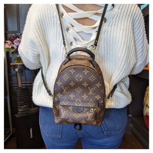 Louis Vuitton Monogram Canvas Mini Palm Springs Backpack Louis Vuitton